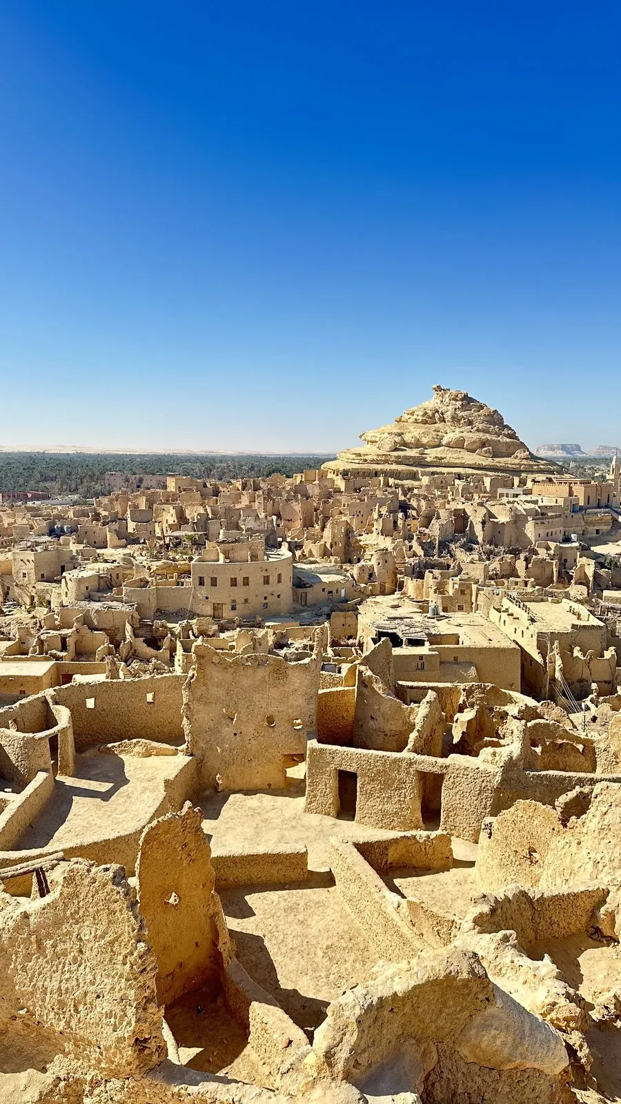 Looking out over Shali, Siwa’s old mud-brick town