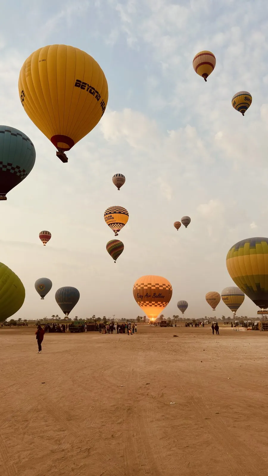 5 AM, West Bank, a sky full of balloons