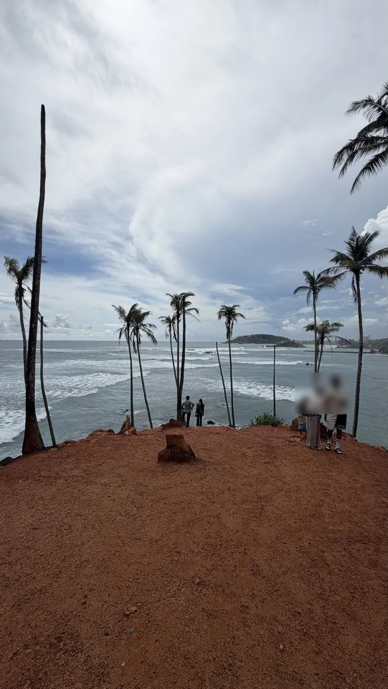 Coconut Tree Hill: red-earth headland, tall palms and Parrot Rock out in the bay
