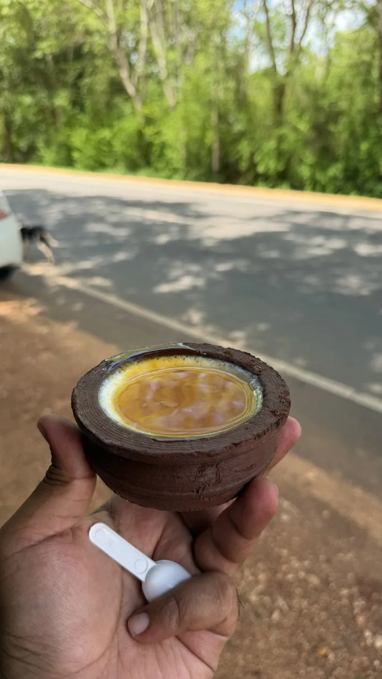 Buffalo curd and kithul treacle in a clay pot, roadside on the way to Ella