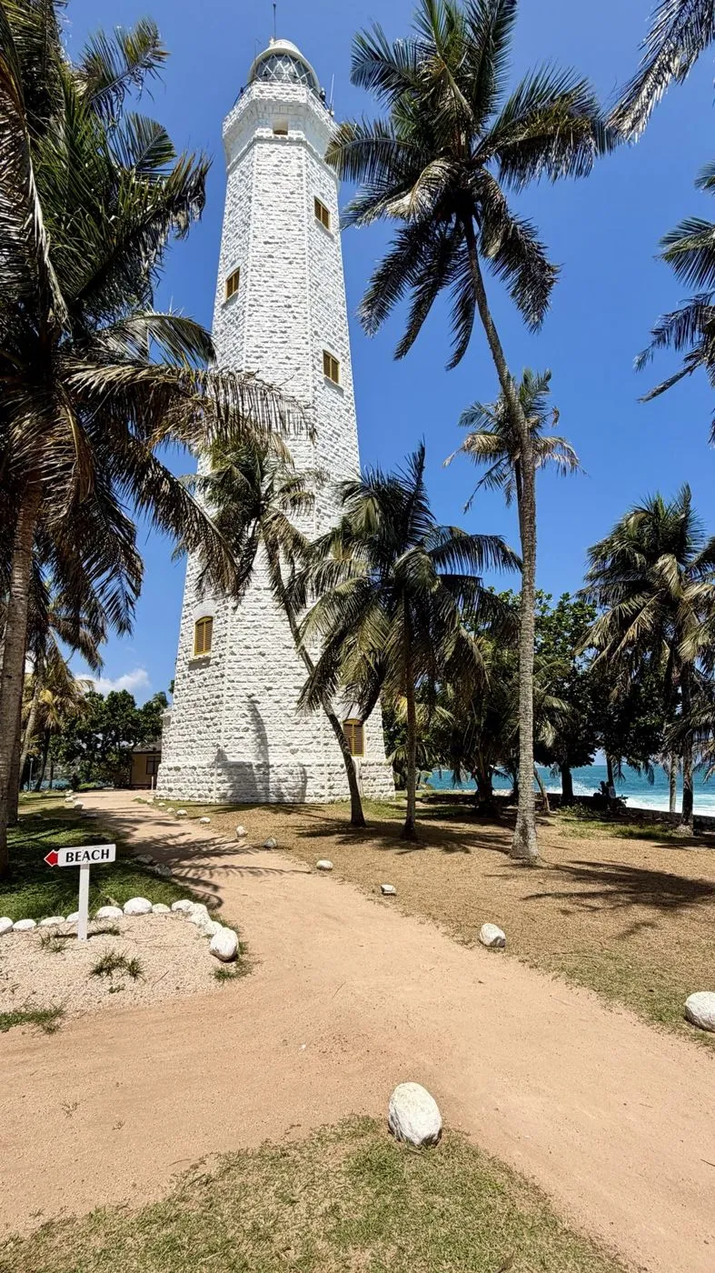 Dondra Head Lighthouse rising out of the coconut palms