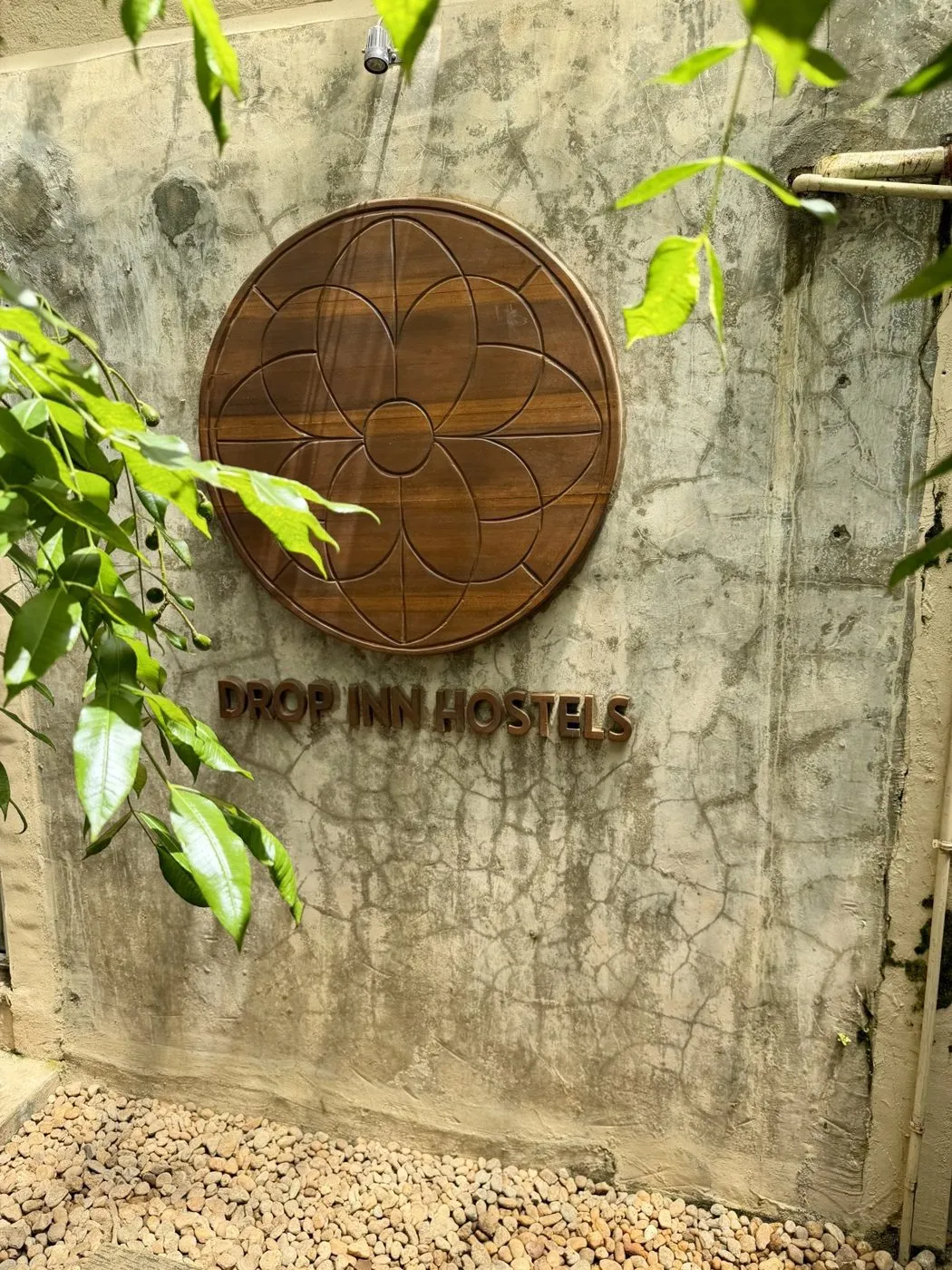 The carved wooden Drop Inn Hostels sign on the courtyard wall