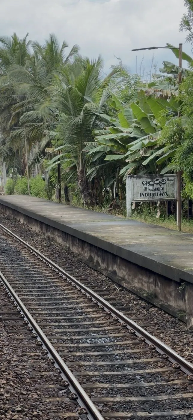 Palm-fringed Induruwa platform, passing through on the 14:40 train to Galle