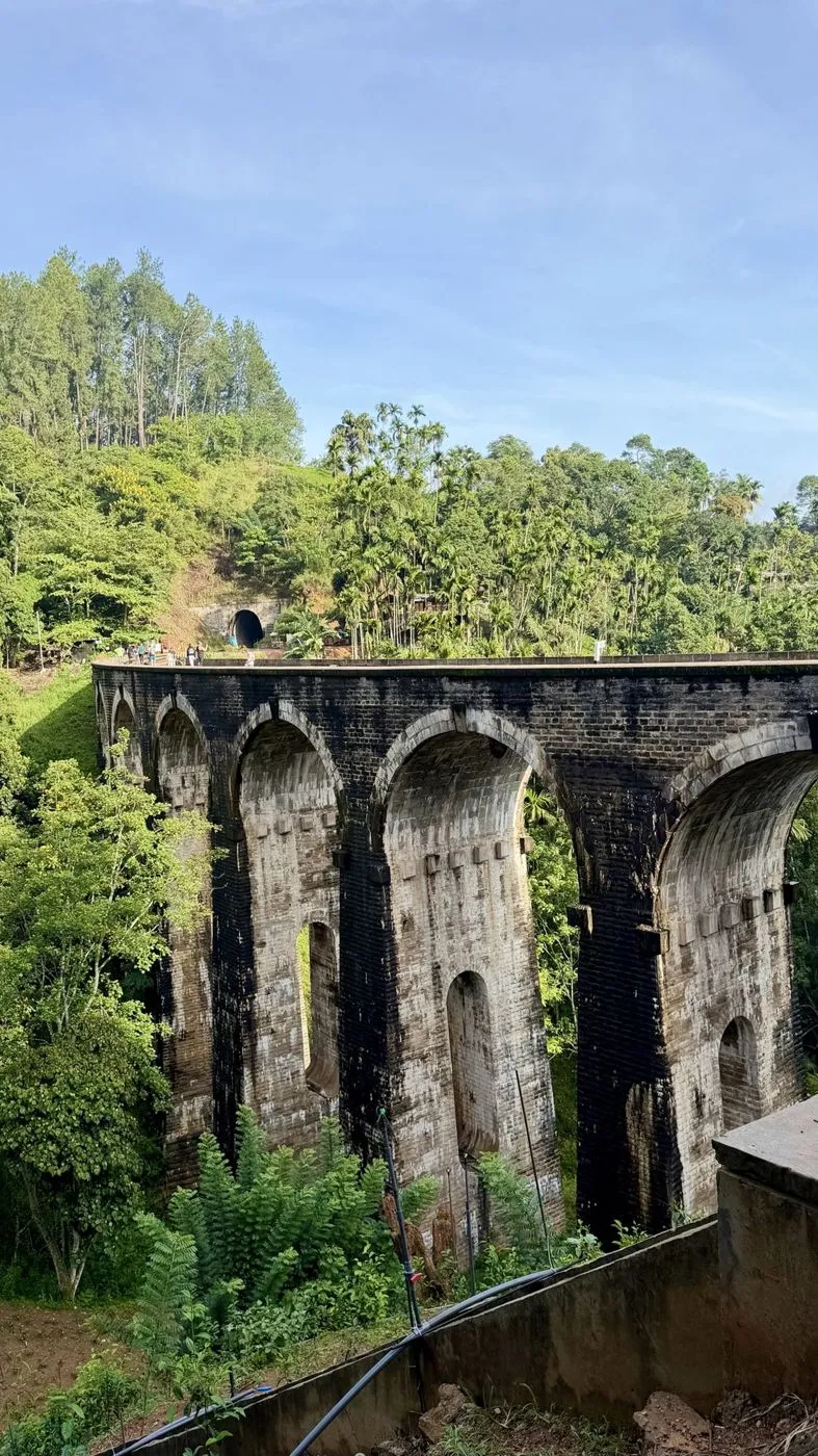 The arches from the tea slope, the tunnel just above