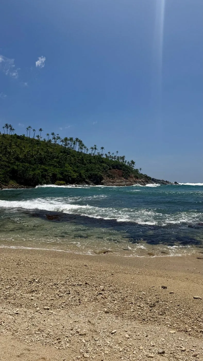 Secret Beach: a quiet cove with a palm-covered headland